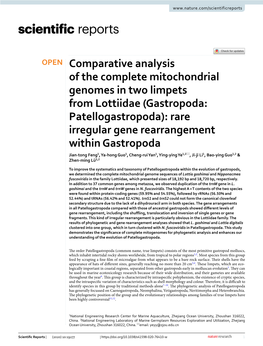 Comparative Analysis of the Complete Mitochondrial Genomes in Two