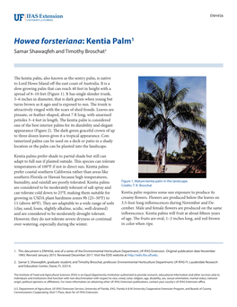 Howea Forsteriana: Kentia Palm1 Samar Shawaqfeh and Timothy Broschat2