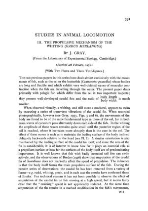 Studies in Animal Locomotion Iii