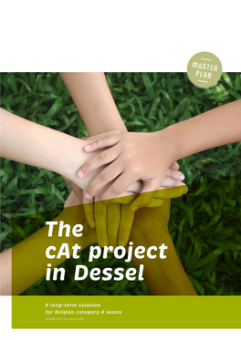 The Cat Project in Dessel