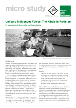 Unheard Indigenous Voices: the Kihals in Pakistan by Mushtaq Gadi, Naeem Iqbal and Wasim Wagha
