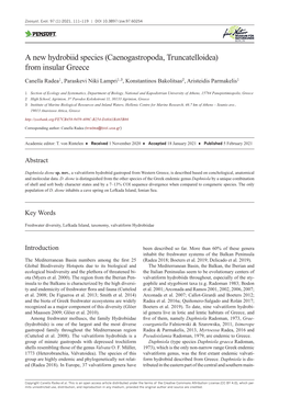 A New Hydrobiid Species (Caenogastropoda, Truncatelloidea) from Insular Greece