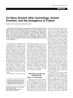 Lithic Technology, Human Evolution, and the Emergence of Culture