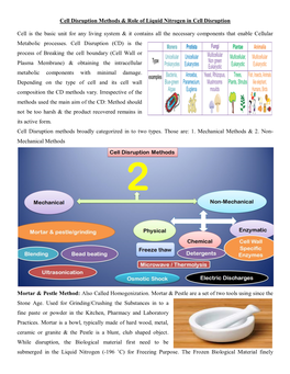 Cell Disruption Methods & Role of Liquid Nitrogen in Cell Disruption