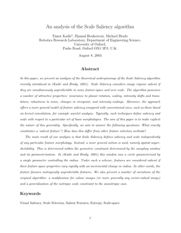 An Analysis of the Scale Saliency Algorithm