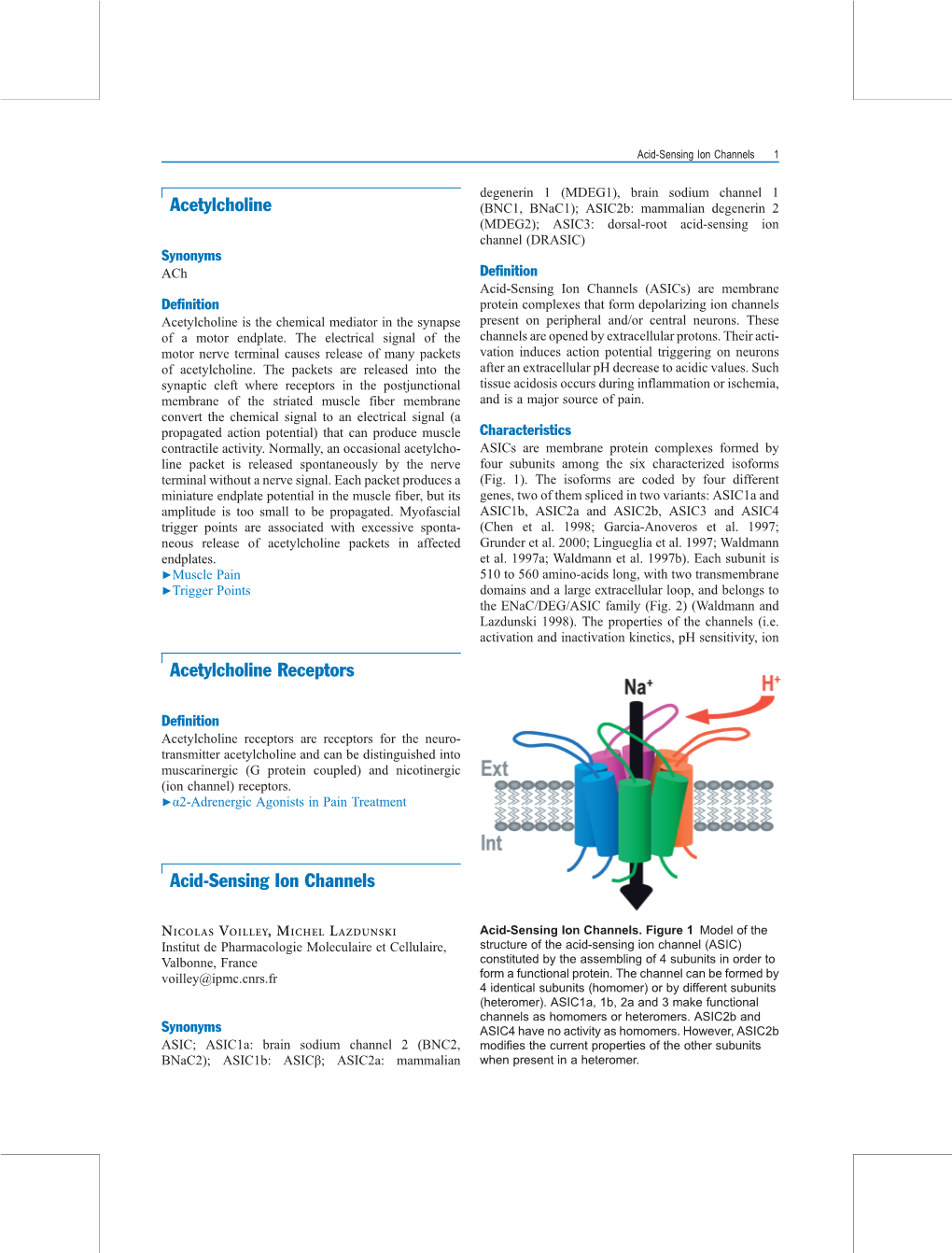 Acetylcholine Acetylcholine Receptors Acid-Sensing Ion Channels