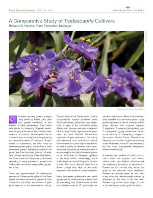 A Comparative Study of Tradescantia Cultivars Richard G