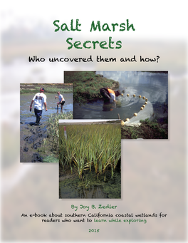 Salt Marsh Secrets Who Uncovered Them and How?