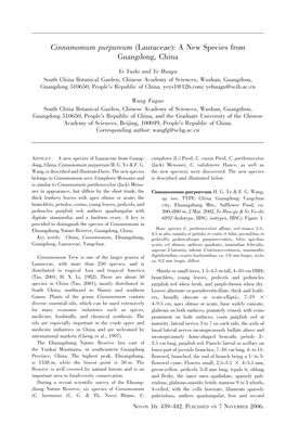 Cinnamomum Purpureum (Lauraceae): a New Species from Guangdong, China