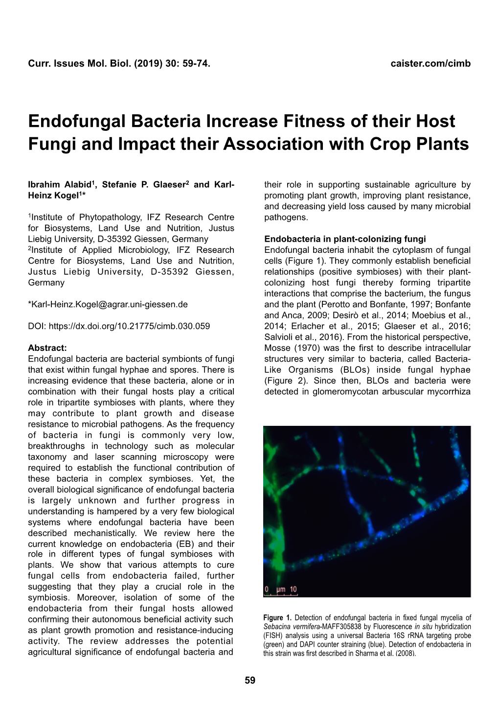 Endofungal Bacteria Increase Fitness of Their Host Fungi and Impact Their Association with Crop Plants