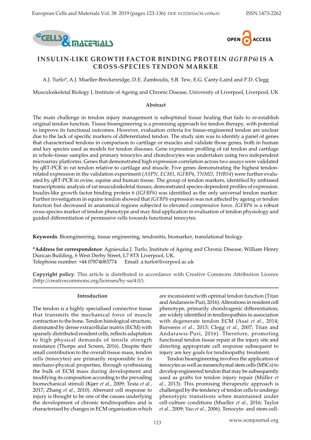 Insulin-Like Growth Factor Binding Protein (Igfbp6) Is a Cross-Species Tendon Marker