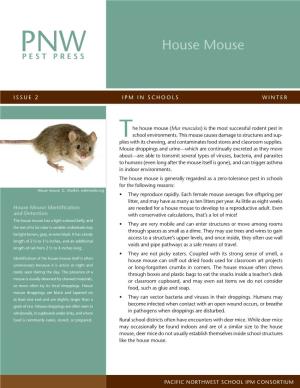 House Mouse PEST PRESS