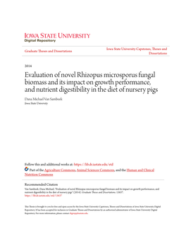 Evaluation of Novel Rhizopus Microsporus Fungal Biomass and Its