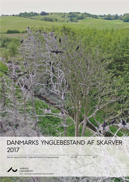 Danmarks Ynglebestand Af Skarver 2017