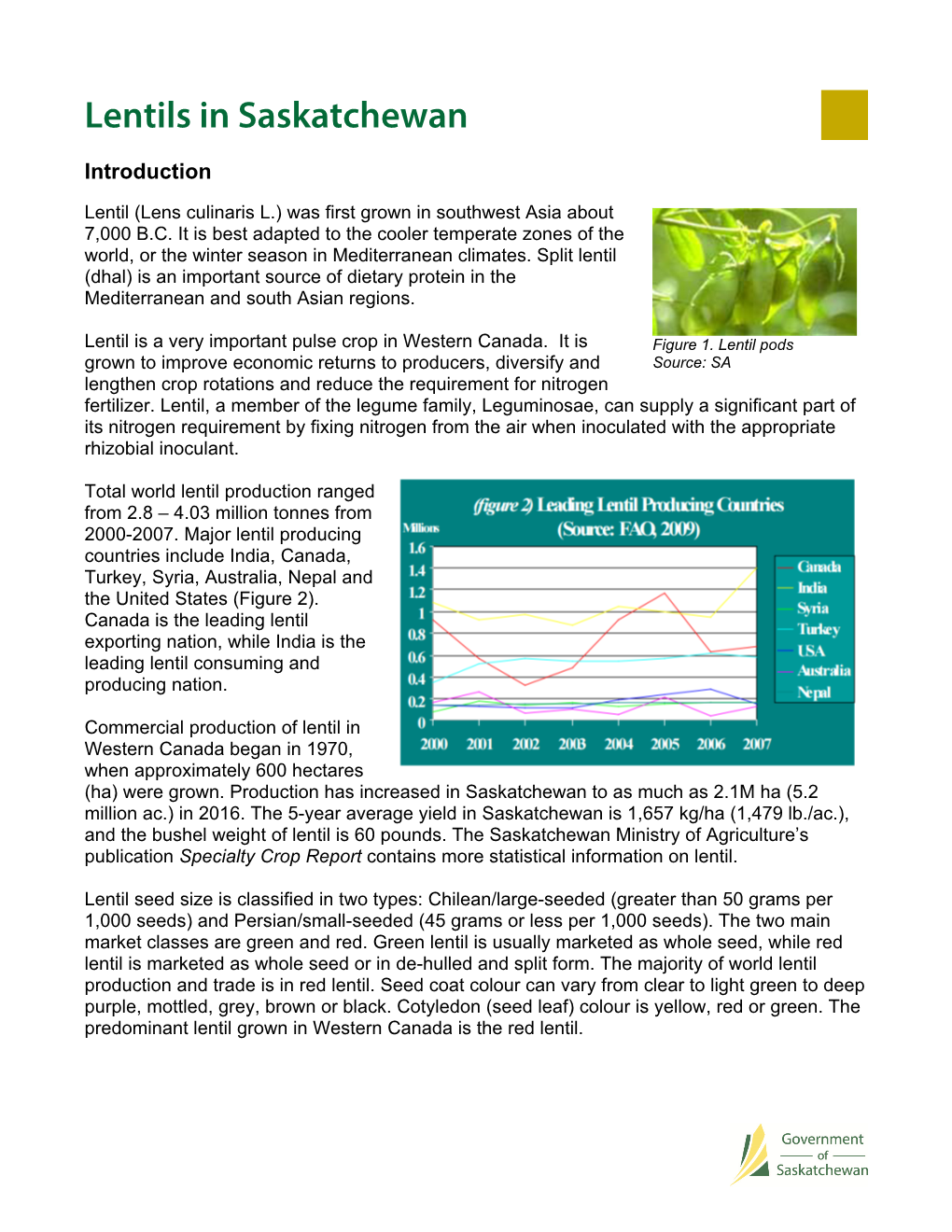 Lentils in Saskatchewan