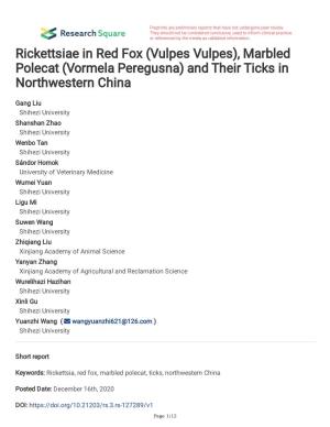 Vormela Peregusna) and Their Ticks in Northwestern China