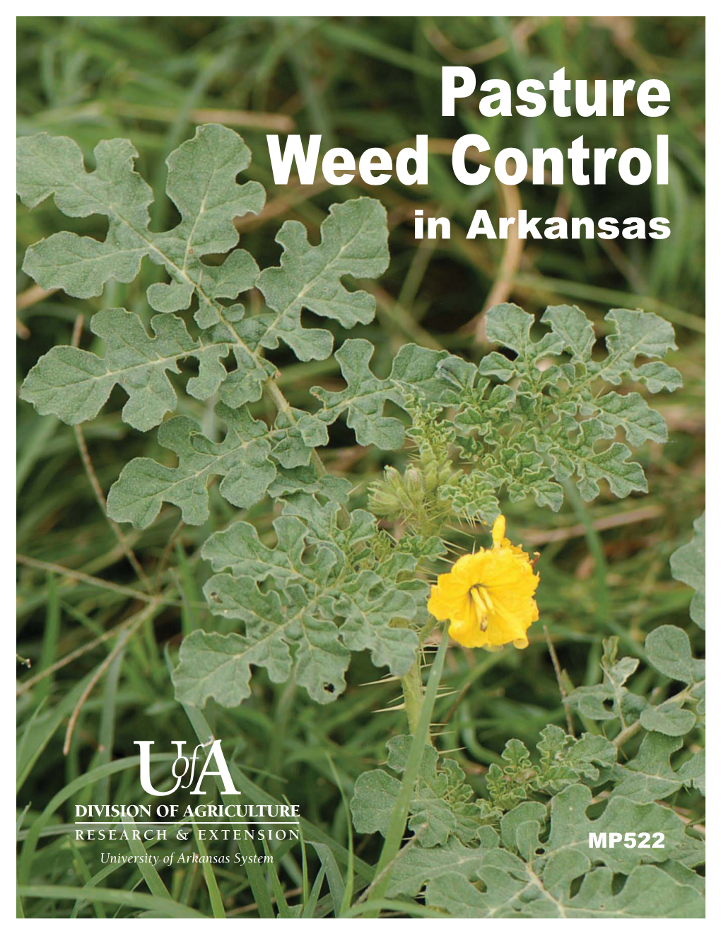 Pasture Weed Control in Arkansas