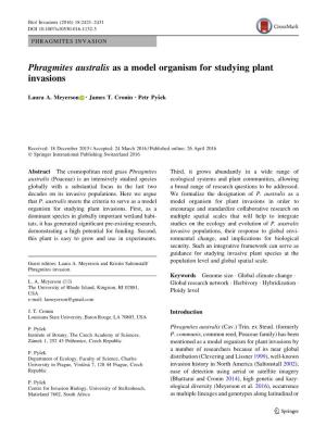 Phragmites Australis As a Model Organism for Studying Plant Invasions