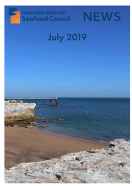 July 2019 Chairman’S Report We Have