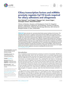Ciliary Transcription Factors and Mirnas Precisely Regulate Cp110