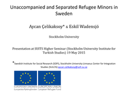 Unaccompanied and Separated Refugee Minors in Sweden