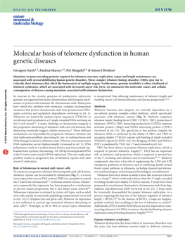 Molecular Basis of Telomere Dysfunction in Human Genetic Diseases