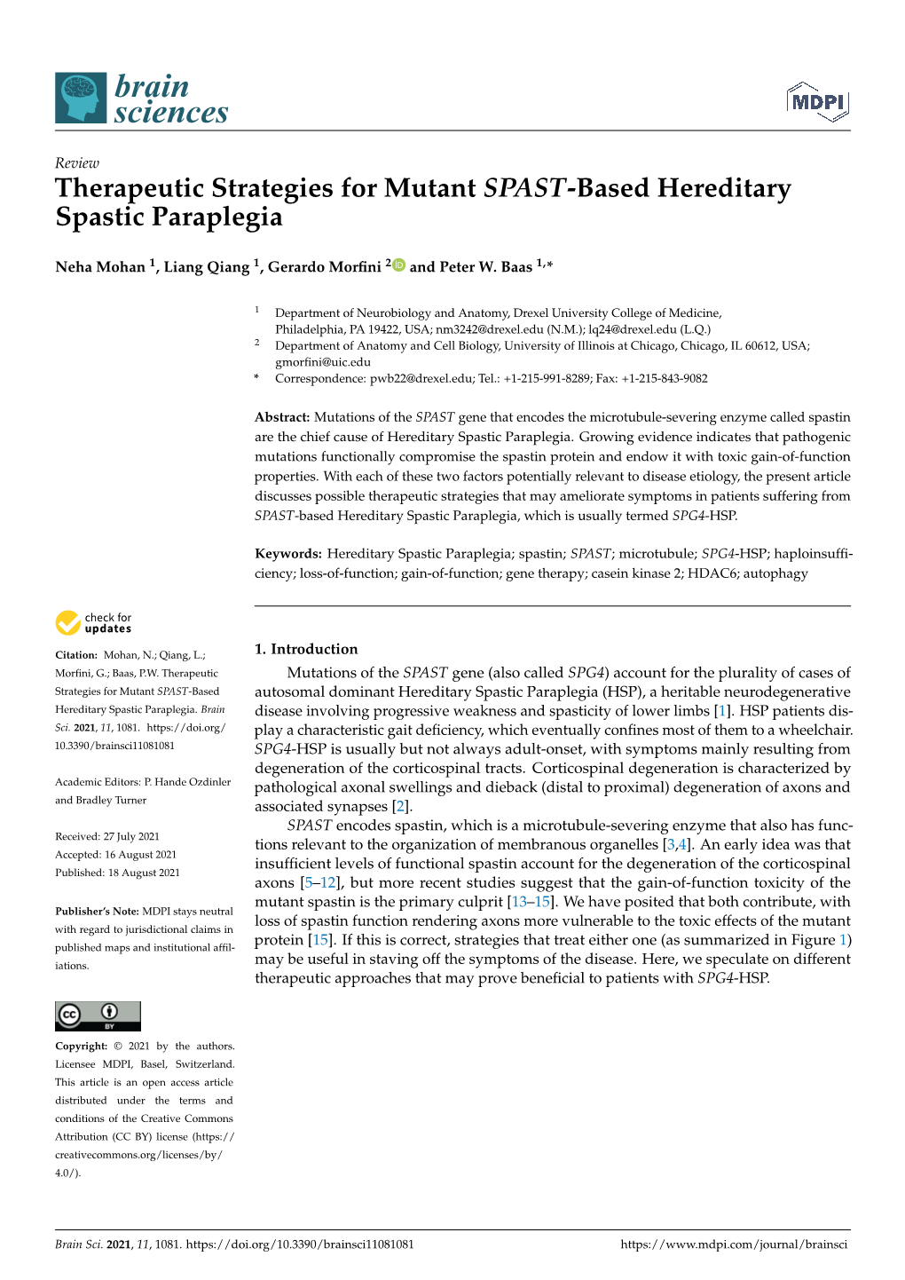 Therapeutic Strategies for Mutant SPAST-Based Hereditary Spastic Paraplegia