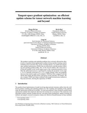 Tangent-Space Gradient Optimization: an Efficient Update Scheme For