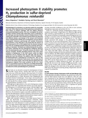 Increased Photosystem II Stability Promotes H2 Production in Sulfur-Deprived Chlamydomonas Reinhardtii