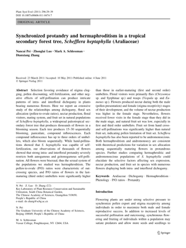 Synchronized Protandry and Hermaphroditism in a Tropical Secondary Forest Tree, Schefflera Heptaphylla (Araliaceae)