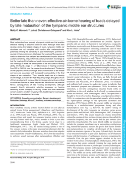 Effective Air-Borne Hearing of Toads Delayed by Late Maturation of the Tympanic Middle Ear Structures Molly C