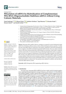 Pegylation of Mrna by Hybridization of Complementary PEG-RNA Oligonucleotides Stabilizes Mrna Without Using Cationic Materials