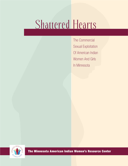 Shattered Hearts Report (Minnesota)