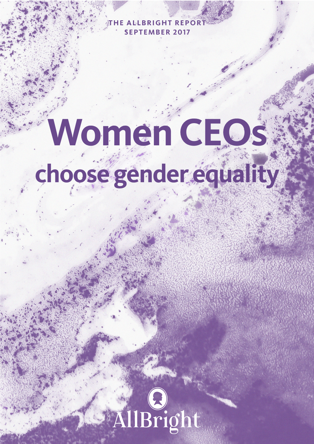Women Ceos Choose Gender Equality WOMEN Ceos CHOOSE GENDER EQUALITY 3 Nine out of Ten Companies Stuck with Men
