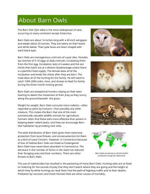 Download About Barn Owls