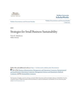 Strategies for Small Business Sustainability Victor K