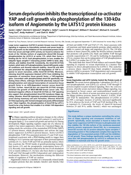 Serum Deprivation Inhibits the Transcriptional Co-Activator YAP And