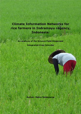 Climate Information Networks for Rice Farmers in Indramayu Regency, Indonesia