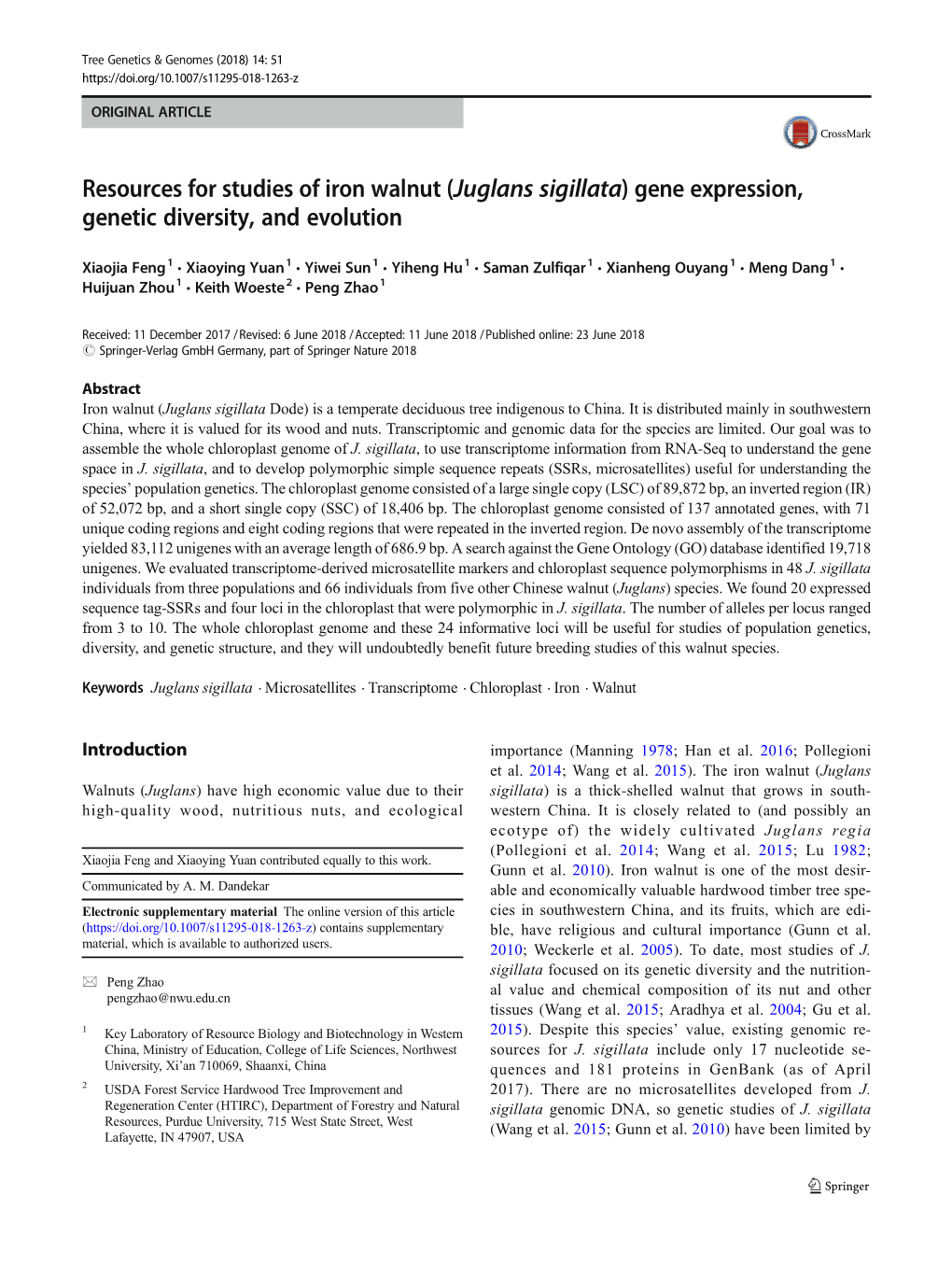 Juglans Sigillata) Gene Expression, Genetic Diversity, and Evolution
