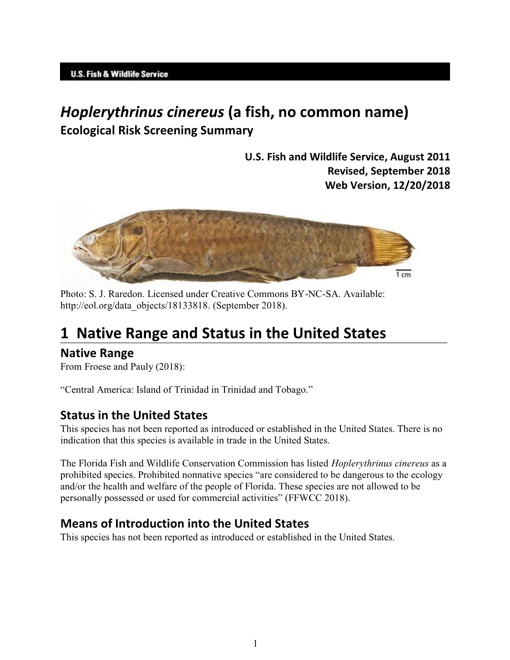 Hoplerythrinus Cinereus (A Fish, No Common Name) Ecological Risk Screening Summary