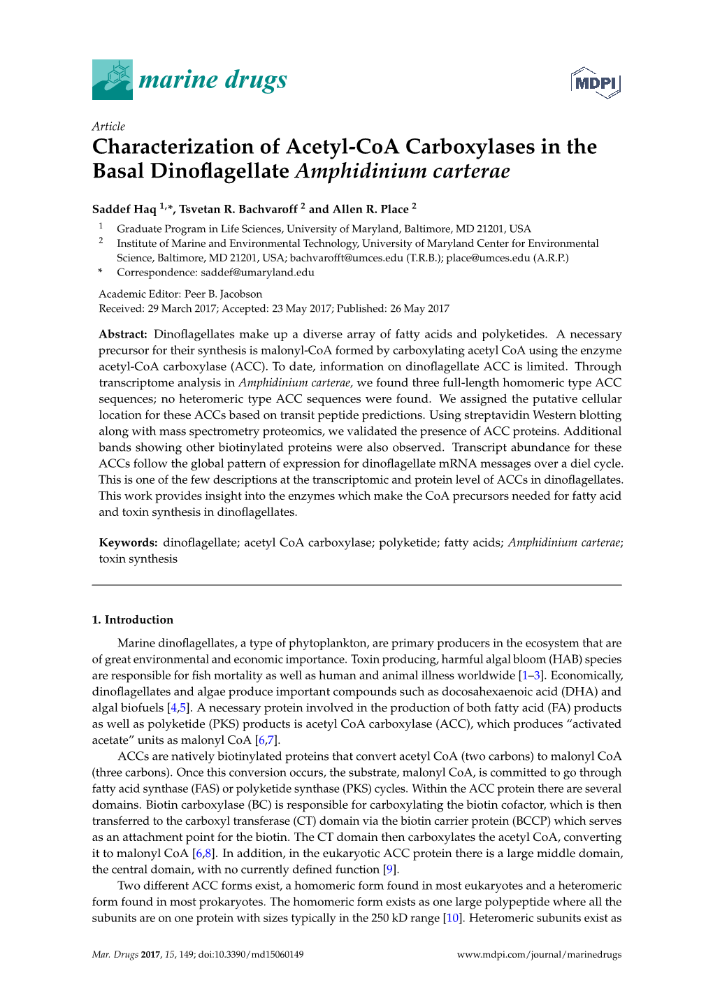 Characterization of Acetyl-Coa Carboxylases in the Basal Dinoﬂagellate Amphidinium Carterae