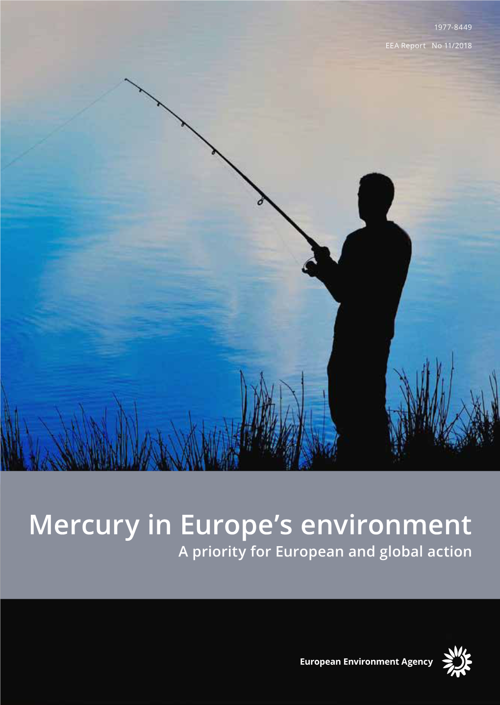 Mercury in Europe's Environment