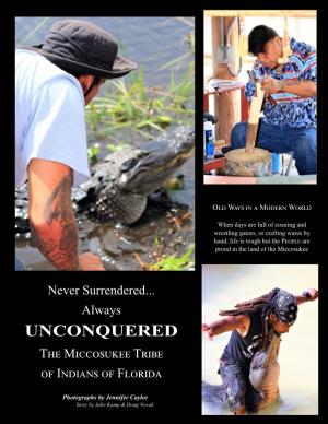 Never Surrendered... Always the Miccosukee Tribe of Indians of Florida