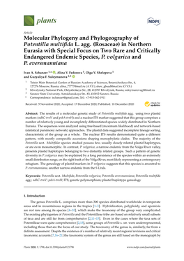 Molecular Phylogeny and Phylogeography of Potentilla Multiﬁda L