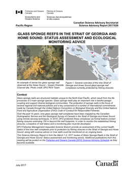 Glass Sponge Reefs in the Strait of Georgia and Howe Sound: Status Assessment and Ecological Monitoring Advice