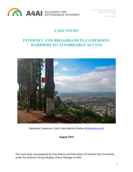 Case Study Internet and Broadband in Cameroon: Barriers