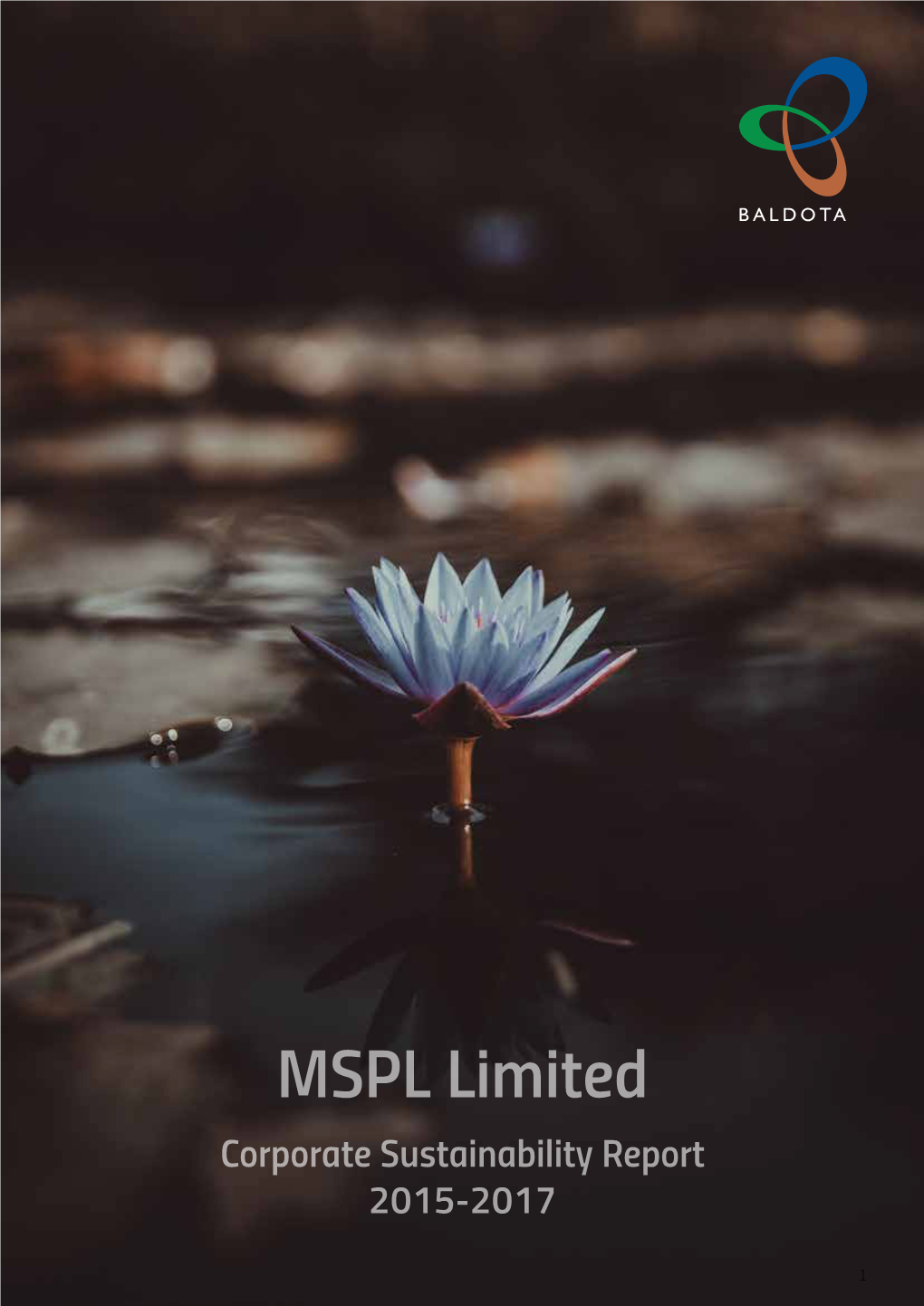 MSPL Limited Corporate Sustainability Report 2015-2017