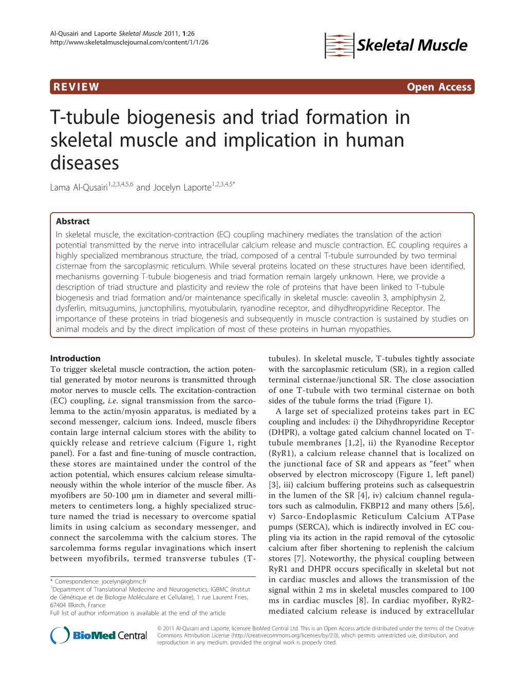 T-Tubule Biogenesis and Triad Formation in Skeletal Muscle and Implication in Human Diseases Lama Al-Qusairi1,2,3,4,5,6 and Jocelyn Laporte1,2,3,4,5*