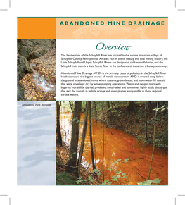 Abandoned Mine Drainage Workgroup Overview