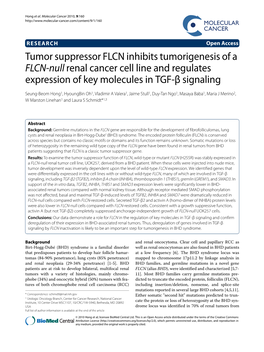 Tumor Suppressor FLCN Inhibits Tumorigenesis of a FLCN-Null Renal
